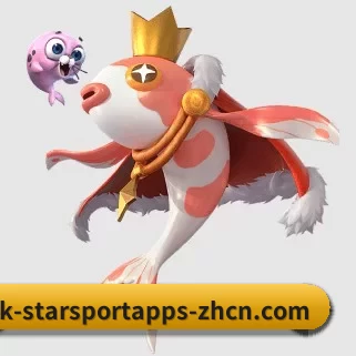 星空投注 APP